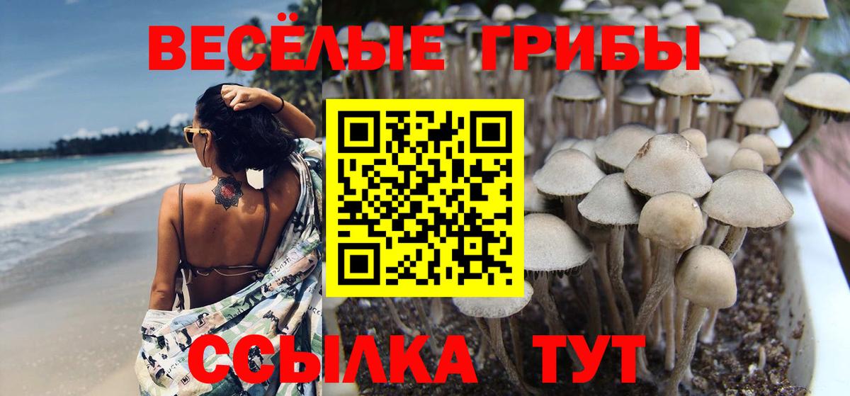 Галлюциногенные грибы Cubensis  Вход с VPN  Галлюциногенные грибы мухоморы  Луховицы 