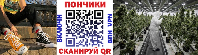 закладка  Луховицы  Марихуана индика 